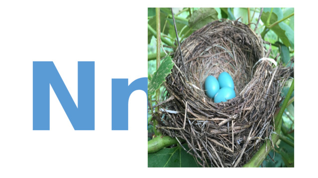 Nn 