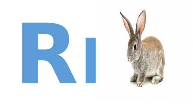 Rr 