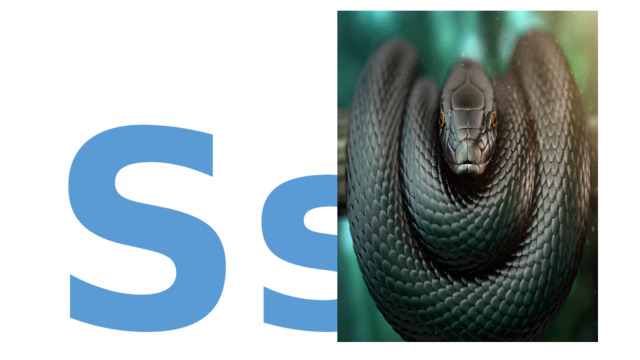 Ss  
