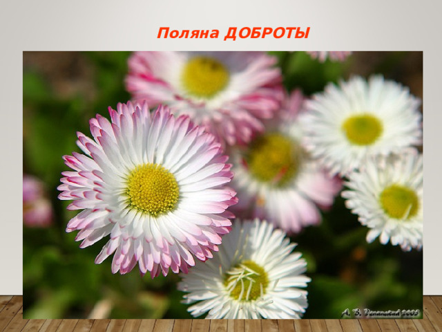  Поляна ДОБРОТЫ   