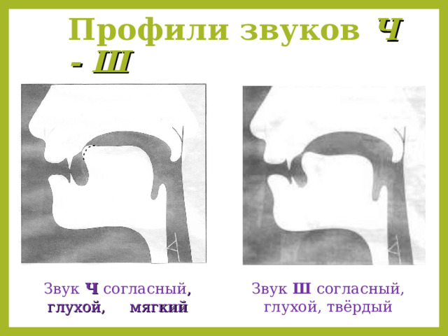 Профили звуков Ч - Ш Звук Ч согласный , глухой, мягкий Звук Ш согласный, глухой, твёрдый  