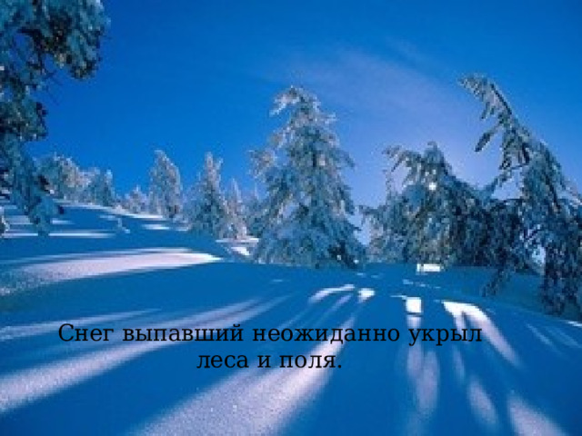 Снег выпавший неожиданно укрыл леса и поля. 