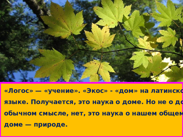  «Логос» — «учение». «Экос» - «дом» на латинском  языке. Получается, это наука о доме.  Но не о доме в  обычном смысле, нет, это наука о нашем общем  доме — природе.  