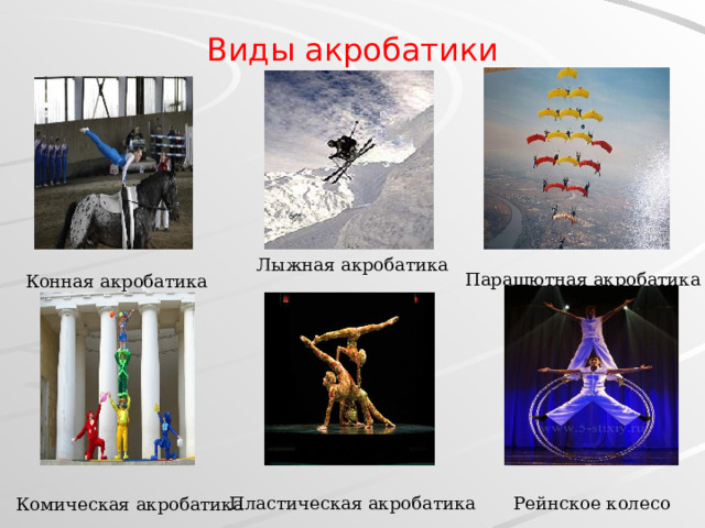 Виды акробатики Лыжная акробатика Парашютная акробатика Конная акробатика Рейнское колесо Пластическая акробатика Комическая акробатика 