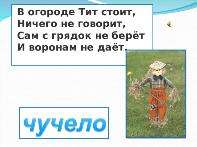  В огороде Тит стоит,  Ничего не говорит,  Сам с грядок не берёт  И воронам не даёт.  
