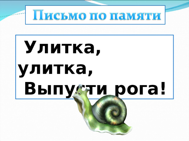  Улитка, улитка,   Выпусти рога! 