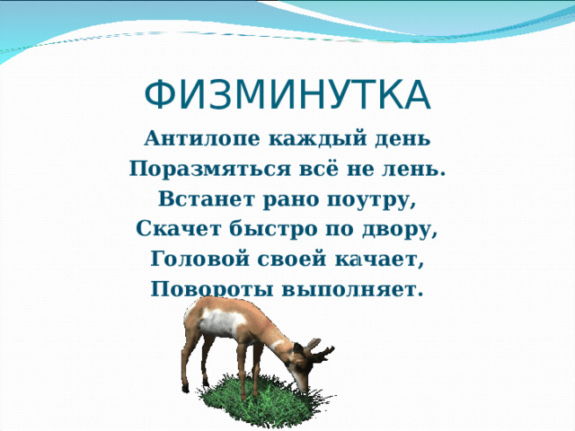 ФИЗМИНУТКА Антилопе каждый день Поразмяться всё не лень. Встанет рано поутру, Скачет быстро по двору, Головой своей качает, Повороты выполняет.   