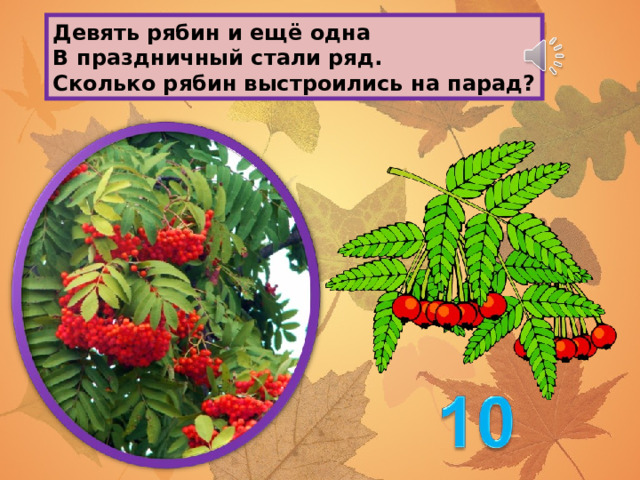 Девять рябин и ещё одна В праздничный стали ряд. Сколько рябин выстроились на парад? 