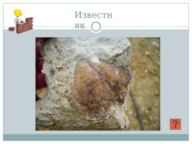 Из в ест н як 
