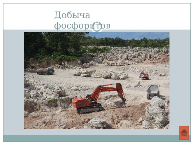 Добыча  фосфоритов 