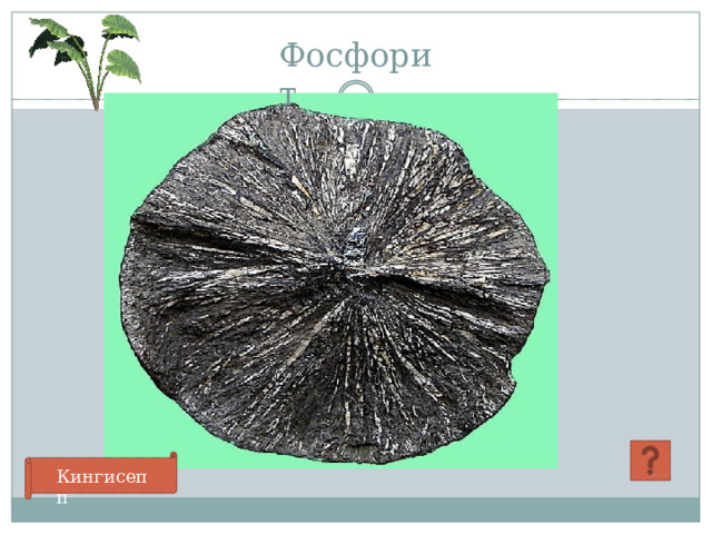 Фосфорит Кингисепп 