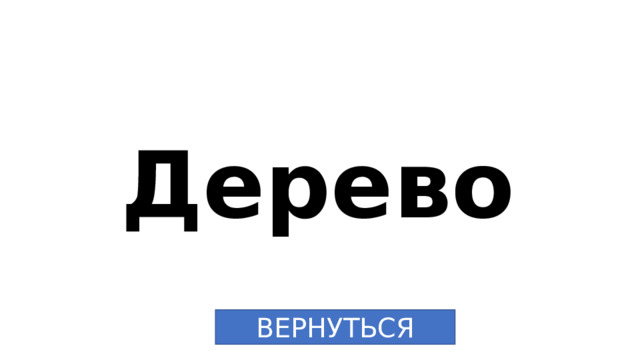 Дерево  ВЕРНУТЬСЯ 