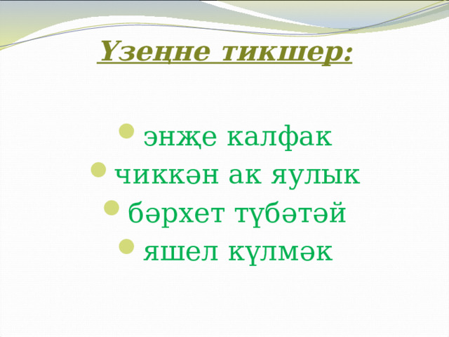 Үзеңне тикшер: энҗе калфак чиккән ак яулык бәрхет түбәтәй яшел күлмәк 