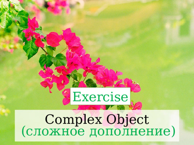 Exercise Complex Object (сложное дополнение) 