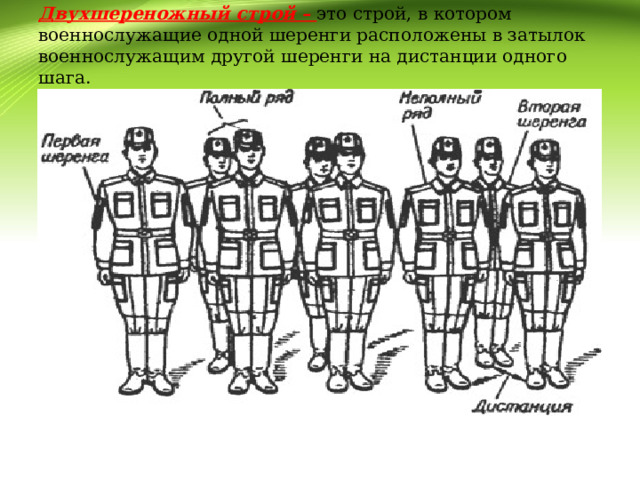   Двухшереножный строй – это строй, в котором военнослужащие одной шеренги расположены в затылок военнослужащим другой шеренги на дистанции одного шага.   