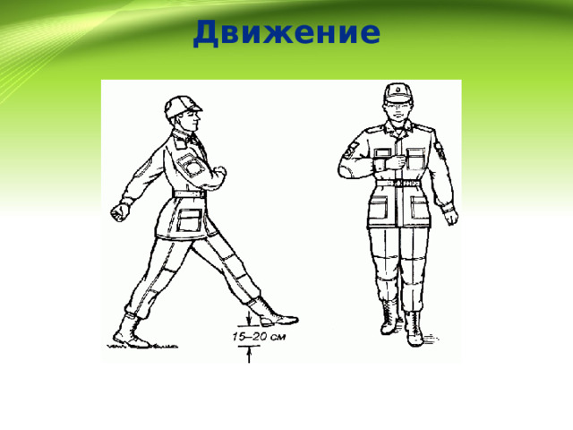 Движение 