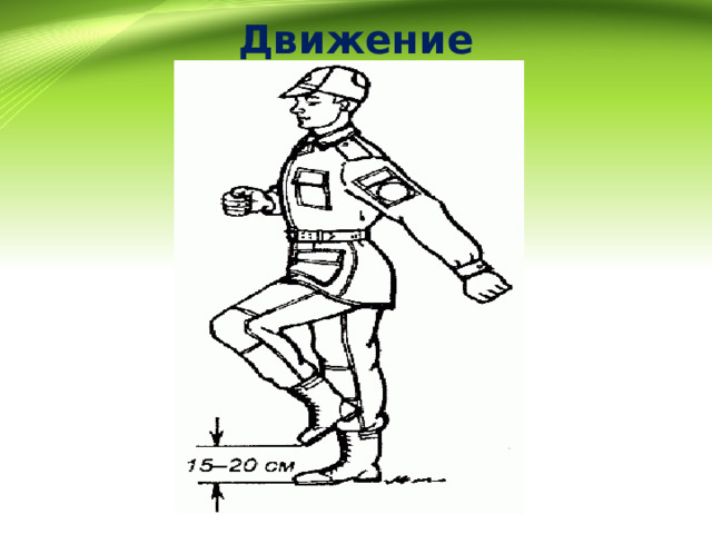 Движение 