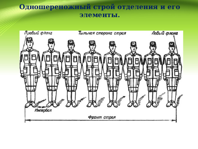     Одношереножный строй отделения и его элементы.      