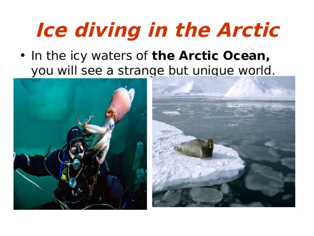 Ice diving in the Arctic In the icy waters of the Arctic Ocean, you will see a strange but unique world. 