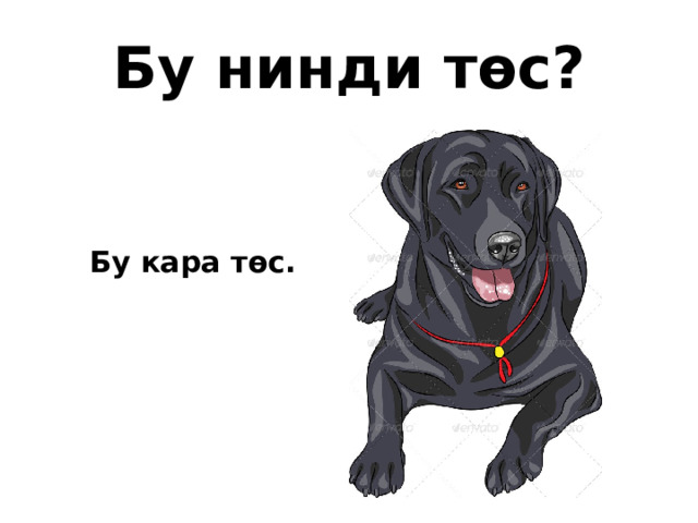 Бу нинди төс? Бу кара төс. 