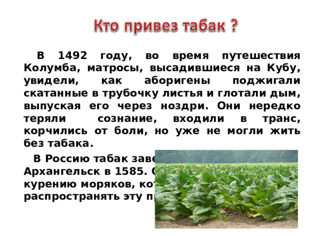   В 1492 году, во время путешествия Колумба , матросы, высадившиеся на Кубу, увидели, как аборигены поджигали скатанные в трубочку листья и глотали дым, выпуская его через ноздри . Они нередко теряли сознание , входили в транс , корчились от боли , но уже не могли жить без табака .  В Россию табак завезли англичане через Архангельск в 1585. Они приучили к курению моряков, которые стали распространять эту привычку дальше.   