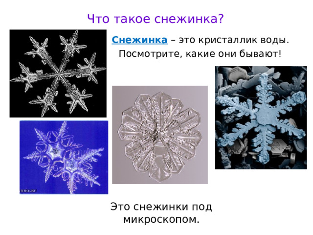 Что такое снежинка? Снежинка – это кристаллик воды. Посмотрите, какие они бывают! Это снежинки под микроскопом. 