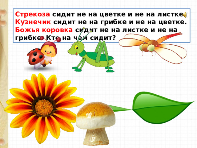 Стрекоза сидит не на цветке и не на листке.  Кузнечик сидит не на грибке и не на цветке.  Божья коровка сидит не на листке и не на грибке. Кто на чем сидит? 