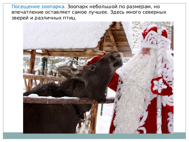 Посещение зоопарка. Зоопарк небольшой по размерам, но впечатление оставляет самое лучшее. Здесь много северных зверей и различных птиц. 