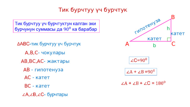 гипотенуза Тик бурчтуу үч бурчтук B h катет катет A C b A , B , C - чокулары AB ,В C ,АС - жактары AB  - гипотенуза A С - катет ВС - катет 