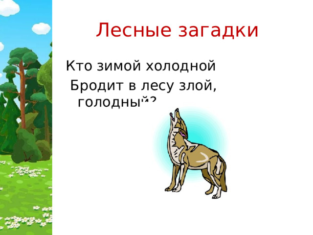 Лесные загадки Кто зимой холодной  Бродит в лесу злой, голодный? 