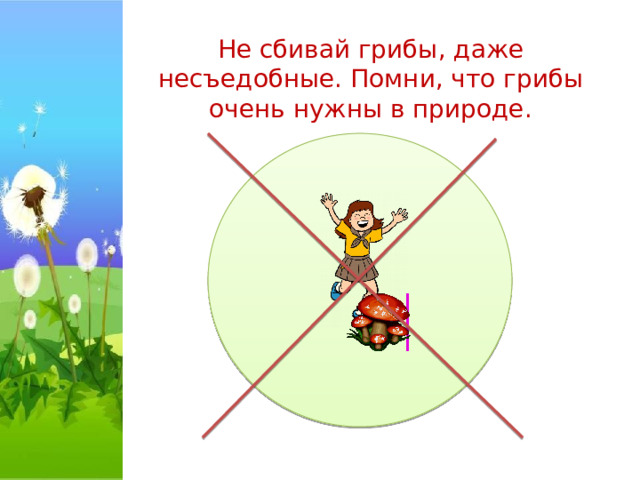 Не сбивай грибы, даже несъедобные. Помни, что грибы очень нужны в природе.   