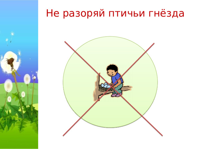 Не разоряй птичьи гнёзда   