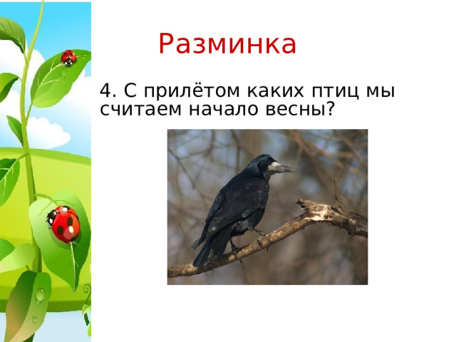 Разминка 4. С прилётом каких птиц мы считаем начало весны? 
