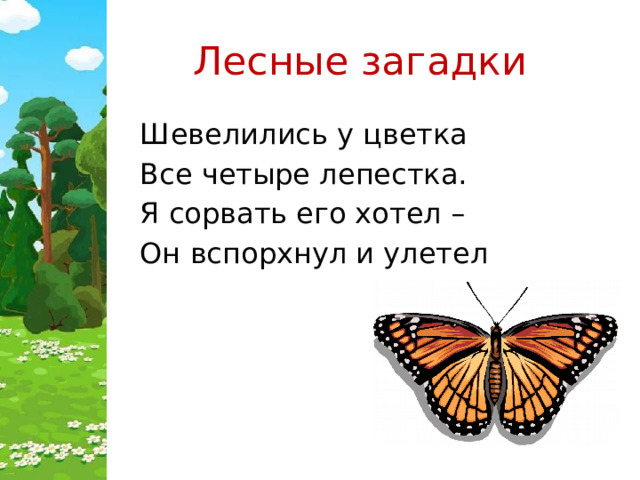 Лесные загадки Шевелились у цветка Все четыре лепестка. Я сорвать его хотел – Он вспорхнул и улетел 