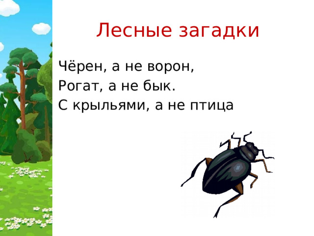 Лесные загадки Чёрен, а не ворон, Рогат, а не бык. С крыльями, а не птица 