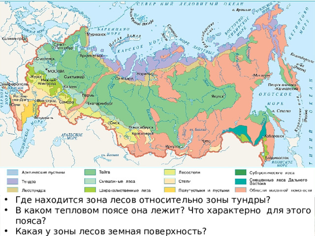 Карточка-помогайка Где находится зона лесов относительно зоны тундры? В каком тепловом поясе она лежит? Что характерно для этого пояса? Какая у зоны лесов земная поверхность? Какая она в сравнении с другими природными зонами? 