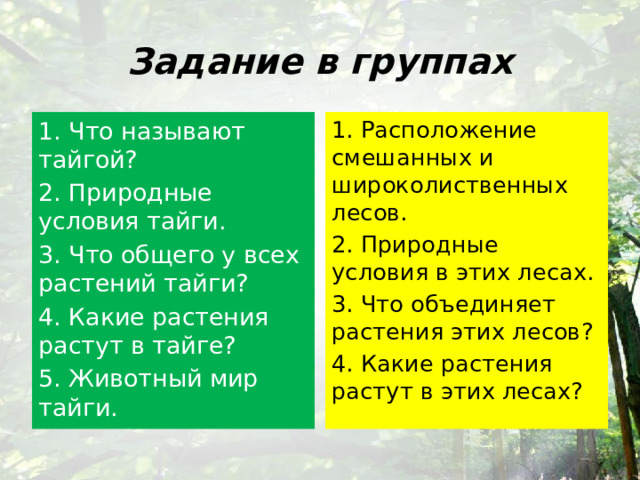 Задание в группах 1. Что называют тайгой? 1. Расположение смешанных и широколиственных лесов. 2. Природные условия тайги. 2. Природные условия в этих лесах. 3. Что общего у всех растений тайги? 3. Что объединяет растения этих лесов? 4. Какие растения растут в тайге? 4. Какие растения растут в этих лесах? 5. Животный мир тайги. 