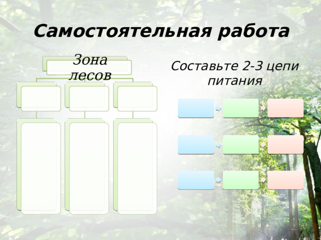 Самостоятельная работа Составьте 2-3 цепи питания Зона лесов 