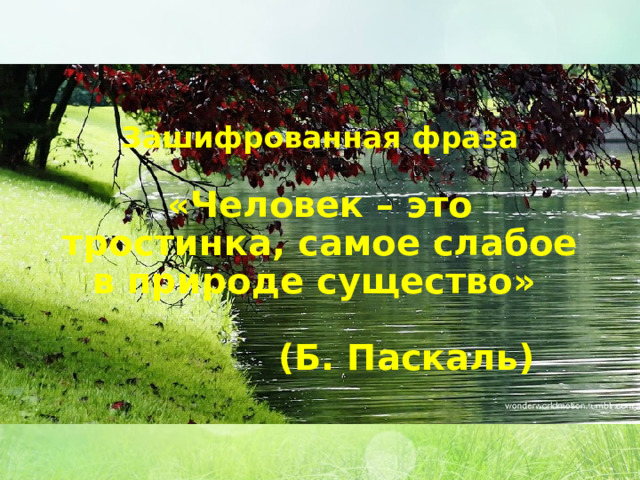 Зашифрованная фраза    «Человек – это тростинка, самое слабое в природе существо»    (Б. Паскаль) 