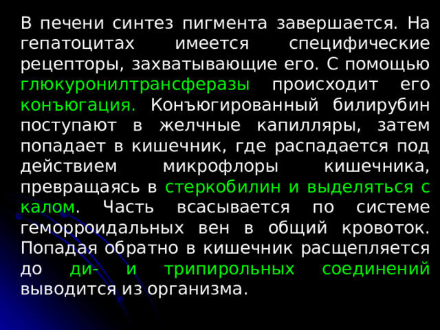 В печени синтез пигмента завершается. На гепатоцитах имеется специфические рецепторы, захватывающие его. С помощью глюкуронилтрансферазы происходит его конъюгация. Конъюгированный би­лирубин поступают в желчные капилляры, затем попадает в кишечник, где распадается под действием микрофлоры кишечника, превращаясь в стеркобилин и выделяться с калом . Часть всасывается по системе геморроидальных вен в общий кровоток. Попадая обратно в кишечник расщепляется до ди- и трипирольных соединений выводится из организма. 