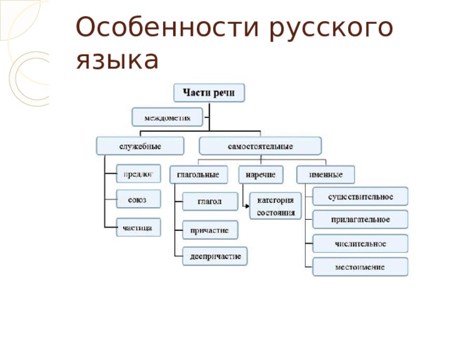 Особенности русского языка 