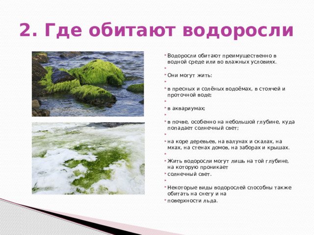 2. Где обитают водоросли Водоросли обитают преимущественно в водной среде или во влажных условиях.   Они могут жить:   в пресных и солёных водоёмах, в стоячей и проточной воде;   в аквариумах;   в почве, особенно на небольшой глубине, куда попадает солнечный свет;   на коре деревьев, на валунах и скалах, на мхах, на стенах домов, на заборах и крышах.   Жить водоросли могут лишь на той глубине, на которую проникает солнечный свет.   Некоторые виды водорослей способны также обитать на снегу и на поверхности льда. 