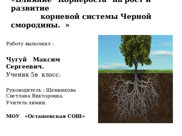    Тема проекта :  «Влияние 