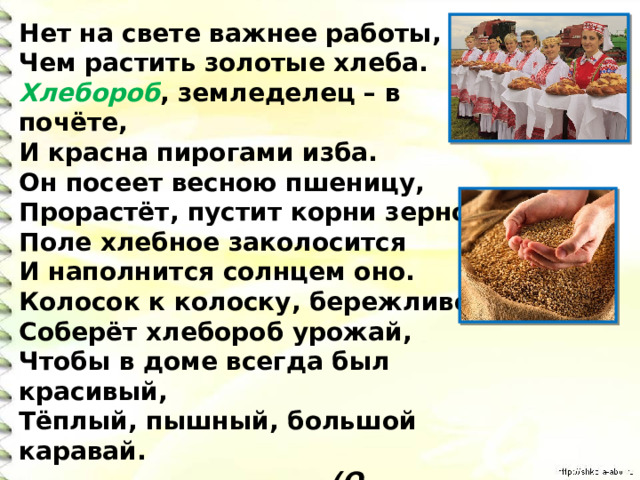 Нет на свете важнее работы,  Чем растить золотые хлеба.  Хлебороб , земледелец – в почёте,  И красна пирогами изба.  Он посеет весною пшеницу,  Прорастёт, пустит корни зерно.  Поле хлебное заколосится  И наполнится солнцем оно.  Колосок к колоску, бережливо,  Соберёт хлебороб урожай,  Чтобы в доме всегда был красивый,  Тёплый, пышный, большой каравай.  (О. Повещенко ) 