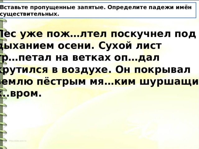 Вставьте пропущенные запятые. Определите падежи имён существительных. Лес уже пож…лтел поскучнел под дыханием осени. Сухой лист тр…петал на ветках оп…дал крутился в воздухе. Он покрывал землю пёстрым мя…ким шуршащим к..вром. 