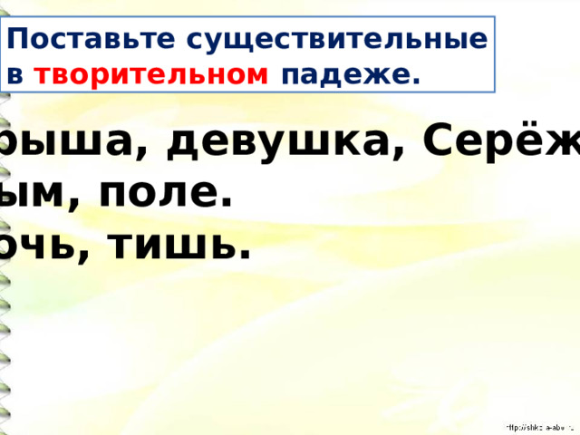 Поставьте существительные в творительном падеже. Крыша, девушка, Серёжа. Дым, поле. Ночь, тишь. 