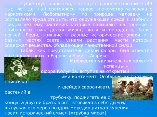  Существует гипотеза, что еще в раннем палеолите (40 тыс. лет до н.э.) состоялось первое знакомство человека с наркотиками. Любопытному по природе человеку не составляло труда открыть, что окружающая среда в изобилии предлагает ему растения, которые повышают настроение и прибавляют сил, делая жизнь, хотя и ненадолго, более легкой. Люди, жившие в разные исторические эпохи и в разных частях света, узнали растения, части которых содержат вещества, обладающие таинственной силой.  Табак, как представитель дикой флоры, был известен еще в древности в Европе и Азии, в Африке.  Множество удивительных явлений увидели испанцы – спутники Христофора Колумба, вступив на открытый  ими континент. Особенно их поразила привычка  индейцев сворачивать листья одного из растений в  трубочку, поджигать ее с одного конца, а другой брать в рот, втягивая в себя дым и, выпуская его через ноздри. Нередко ритуал курения носил исторический смысл («трубка мира»).   Согласно свидетельствам аборигены почитали листья этого растения как дар богов и называли Tabacos. 