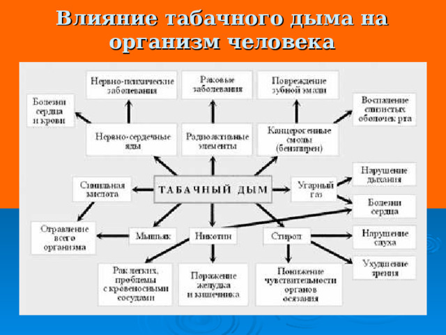 Влияние табачного дыма на организм человека 