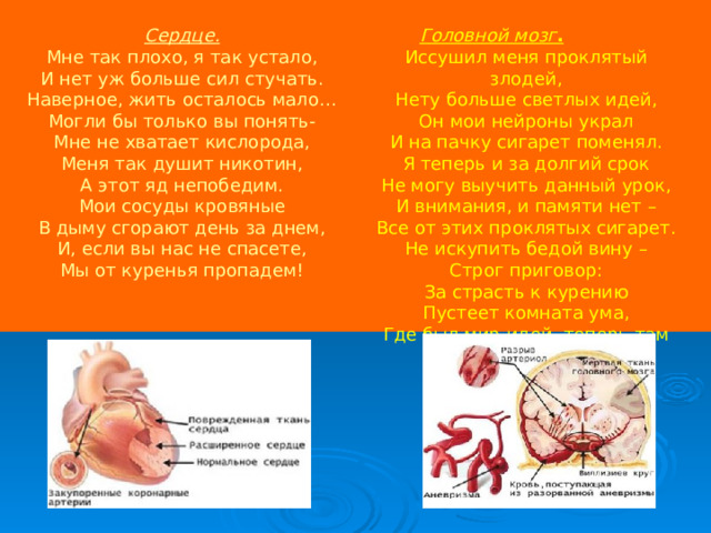 Сердце. Мне так плохо, я так устало, И нет уж больше сил стучать. Наверное, жить осталось мало… Могли бы только вы понять- Мне не хватает кислорода, Меня так душит никотин, А этот яд непобедим. Мои сосуды кровяные В дыму сгорают день за днем, И, если вы нас не спасете, Мы от куренья пропадем! Головной мозг .  Иссушил меня проклятый злодей, Нету больше светлых идей, Он мои нейроны украл И на пачку сигарет поменял. Я теперь и за долгий срок Не могу выучить данный урок, И внимания, и памяти нет – Все от этих проклятых сигарет. Не искупить бедой вину – Строг приговор: За страсть к курению Пустеет комната ума, Где был мир идей, теперь там тьма! 