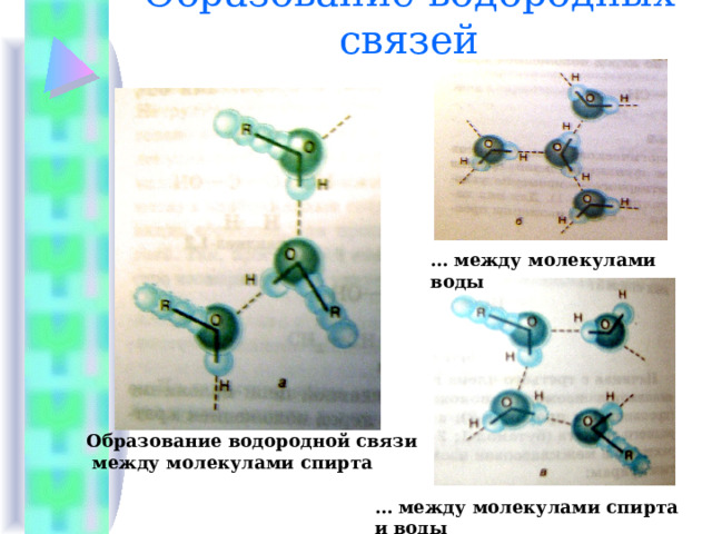 Образование водородных связей … между молекулами воды Образование водородной связи  между молекулами спирта … между молекулами спирта и воды 